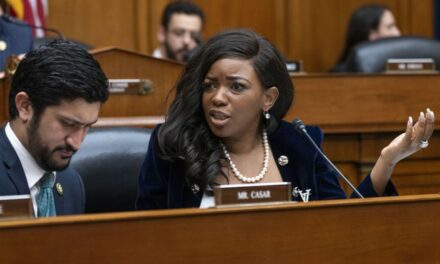 Rep. Jasmine Crockett Says It’s the MAGA Gang Bringing Crime to Our Communities