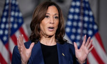 VP Harris urged to stop ‘turning up’ heat with anti-Trump rhetoric: ‘Boiling cauldron’ of hate