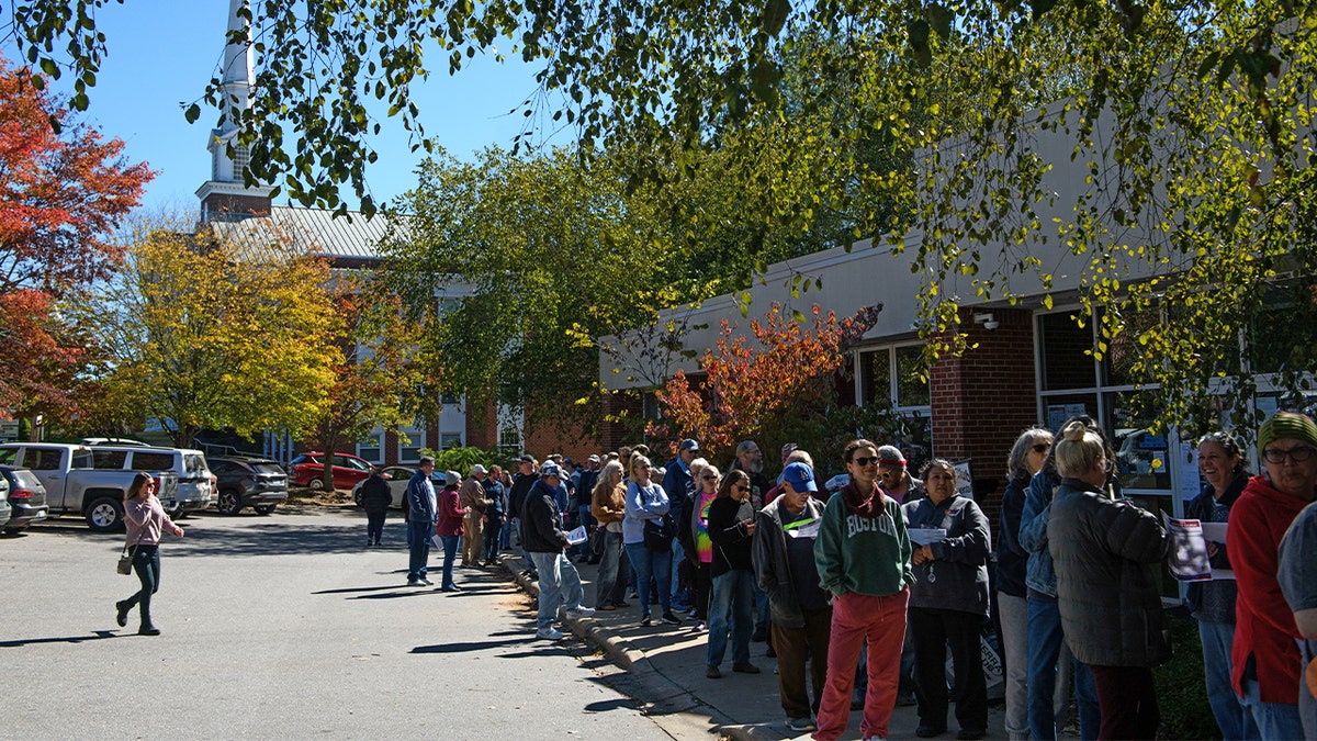 voting line in asheville, nc