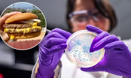 E. coli outbreak linked to McDonald’s burgers: How to spot the symptoms