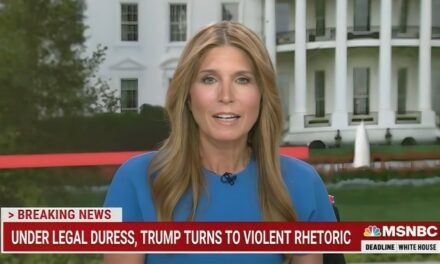 MSNBC’s ‘Devastated’ Nicolle Wallace Carps That Voting for Harris Is an ‘Emergency.’ For Whom?