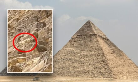 WATCH: Daring dog spotted on top of Egypt’s Great Pyramid makes expert descent as onlookers gaze in amazement