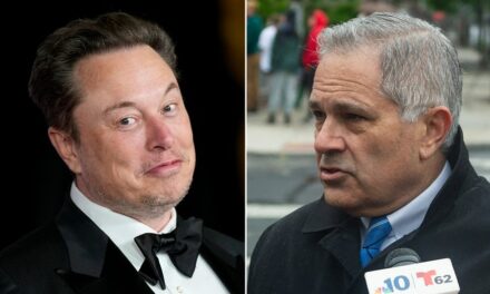 ‘Pulling an Alvin Bragg’: Left-wing DA’s ‘flimsy’ suit against Elon Musk’s $1M giveaway slammed by expert