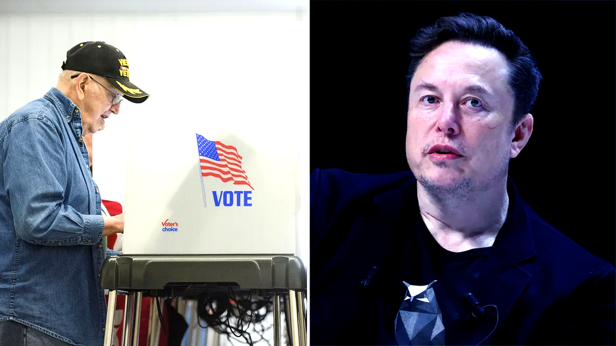 split image of elon musk and a voter