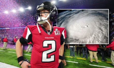 Atlanta Falcons Catch A Stray During Hurricane Milton Coverage On The Weather Channel