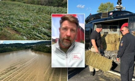 Hurricane Helene: ‘Backbone of America’ helping farmers across Southeast who lost billions in crops, land