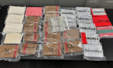 LAPD seizes $4M in fentanyl, enough dosage to potentially kill entire population of Los Angeles