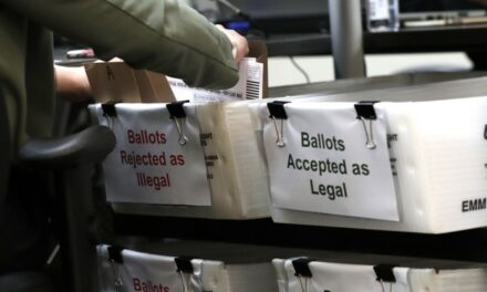 Non-Citizens Voting? YUP! That One Thing You Were Told Wasn’t Happening Is Happening in Virginia