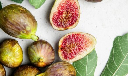 Figs are a healthy, versatile fall fruit: ‘Sweet pulp with tiny seeds’