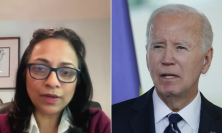 Immigrant business owner blasts ‘anti-science’ Biden admin push that crippled her sales: ‘Devastating’