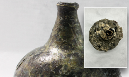 Divers recover ‘unique’ alcohol bottles from the 1700s near Florida