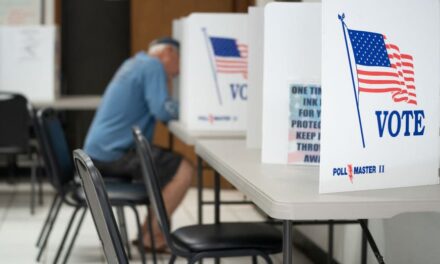 Georgia voter website hit with cyberattack, likely from foreign source: official