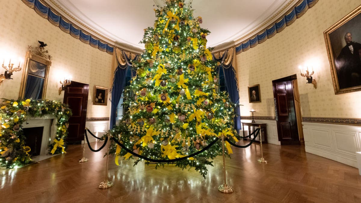 white house blue room tree in North Carolina