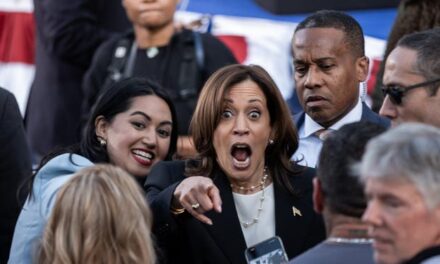 Kamala Harris Fan Roasted For Trying To Throw A Football: WATCH