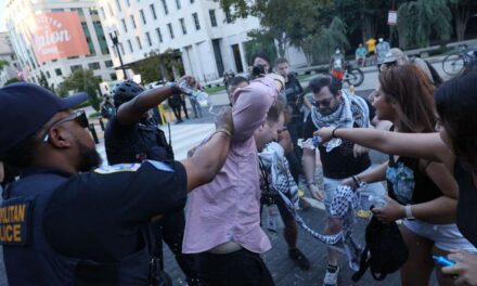 Anti-Israel protester lights himself on fire outside of White House