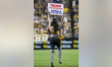 Woman In Skimpy Outfit Rushes Field During Jets/Steelers Game With Pro-Trump Sign