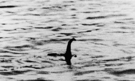 Has Proof Of The Loch Ness Monster Finally Been Found?