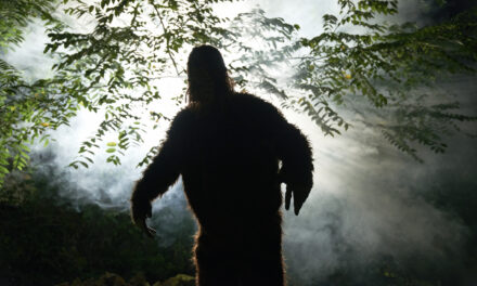 TikTok Video Claims To Show The Clearest Images Of Bigfoot Ever (Which Isn’t Saying Much)