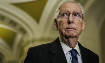 GOP senator slams McConnell’s ‘attack’ on Trump