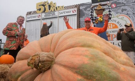 Pumpkin weighing 2,471 pounds wins California contest