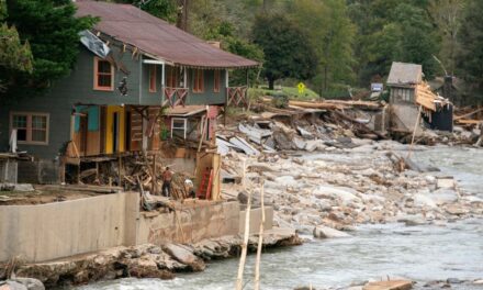 Group of migrants busted for looting Tennessee homes devastated by hurricane: Sheriff