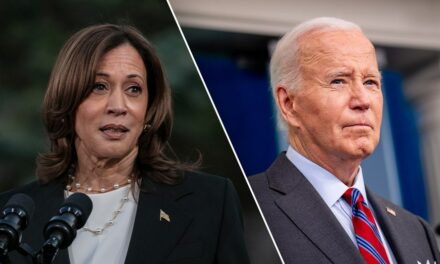 Kamala Harris campaign frustrated by recent Biden media appearances, says CNN reporter