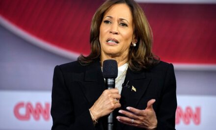 Harris dodges border wall question, blames Trump despite record numbers on her watch