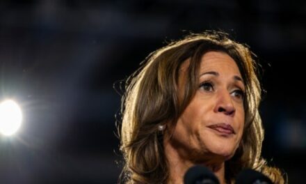 Poll: 60% Say Kamala Harris ‘Hasn’t Clearly Explained’ Her Immigration Policies