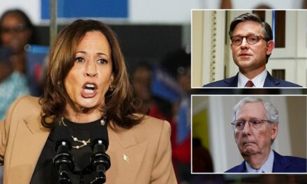 Harris silent after GOP leaders say ‘fascist’ rhetoric ‘risks inviting’ another Trump assassination attempt