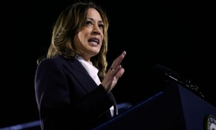 Harris stands firm on wildly unpopular immigration plan in final pitch to voters