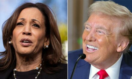 Trump leads Harris in Georgia 2 weeks from Election Day, poll finds