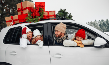 Car is better for holiday travel than plane, many Americans say