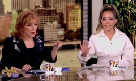 ‘The View’ co-host says Harris ‘has a problem with men,’ fellow hosts say ‘they have a problem with her’