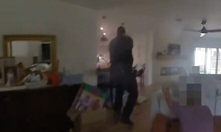 Bodycam shows wild Houston gunfight as officers respond to active home invasion robbery