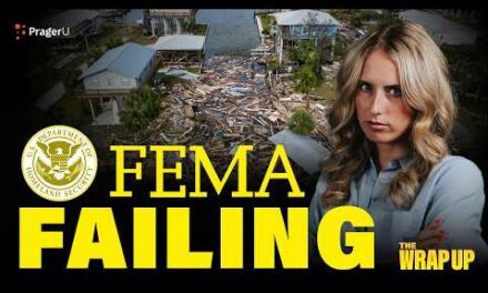 Babylon Bee Sues CA, FEMA Failing Hurricane Victims, Longshoremen Strike: 10/4/24 | The Wrap Up