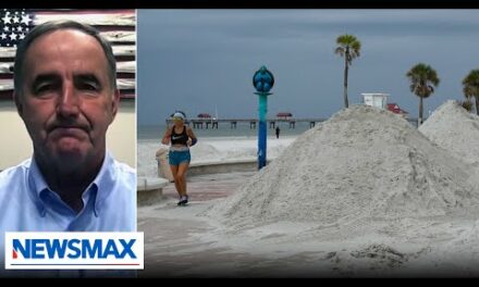 We just need to brace ourselves, get through storm: Mayor of Clearwater | Wake Up America