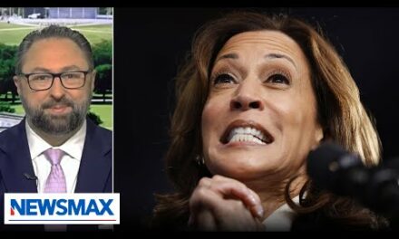 Kamala Harris’ campaign is in panic mode: Jason Miller | Wake Up America