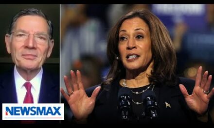 Even Kamala Harris’ policies are plagiarized: Sen. John Barrasso | National Report