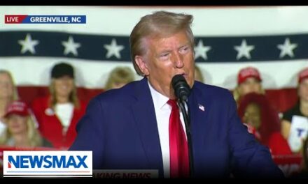 Trump: Numbers are looking incredible in every state