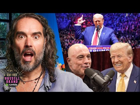 REACTION: Trump’s PACKED Madison Square Garden Rally + Rogan Interview BREAKS THE INTERNET – SF479