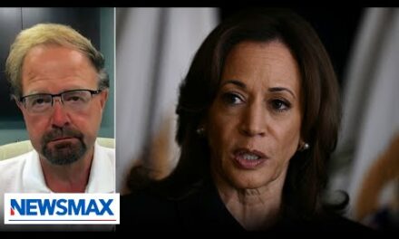 We have not heard from Kamala Harris at all: Rep. Chuck Edwards | Wake Up America