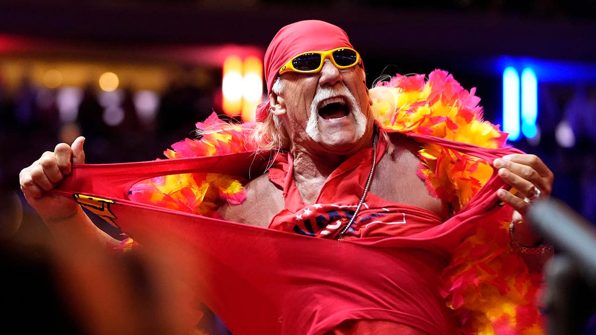 Hulk Hogan in 2024