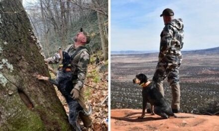 Hunting for hope: Hound hunters step up as FEMA falls short in Appalachia