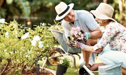 To reduce dementia risk, seniors should take up this outdoor activity, study suggests