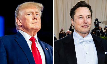 Elon Musk PAC Says It Will Give Referrers $47 for Every Swing-State Voter Who Signs Petition