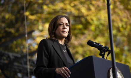 Harris Downplays Polls Showing Diminishing Support From Male Voters