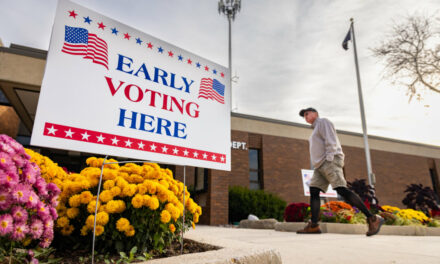 Nearly 50 Million Americans Have Already Cast Ballots in 2024 Election