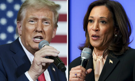 Harris, Trump Reach Out to Different Demographics as Michigan Early Voting Begins