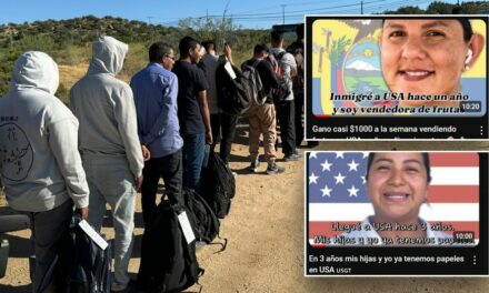 ‘Utter betrayal’: New report reveals DHS official used social media to promote illegal immigration