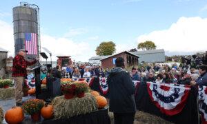 Walz Unveils Harris’s Plans for Rural Voters in Battleground Pennsylvania Rally